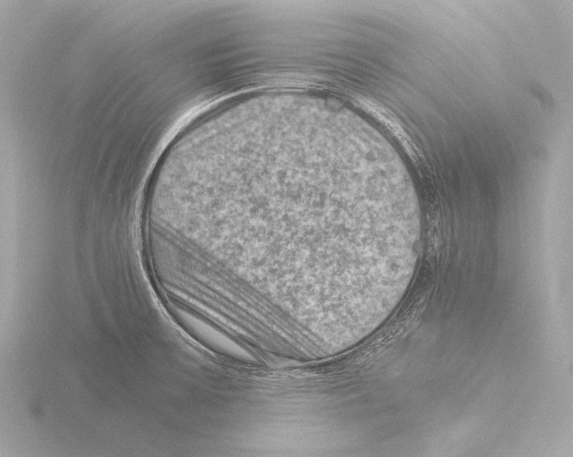 X0000116061475200912181303