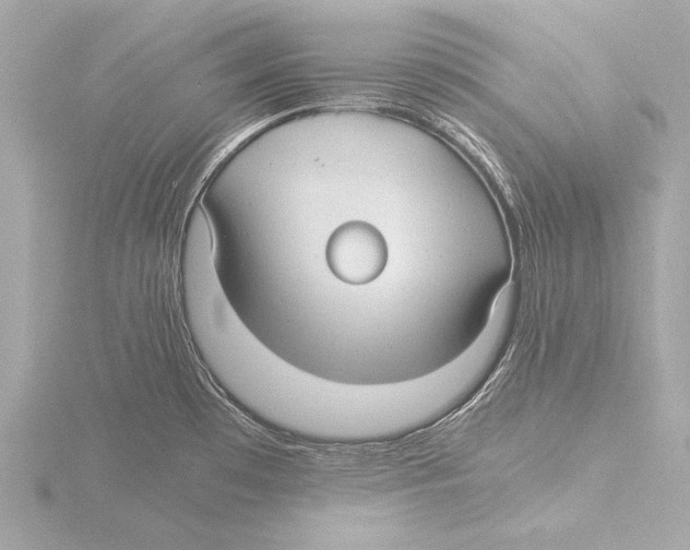 X0000116061481200912181303