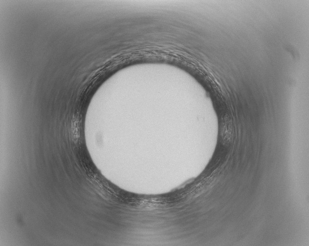 X0000116061490200912181302