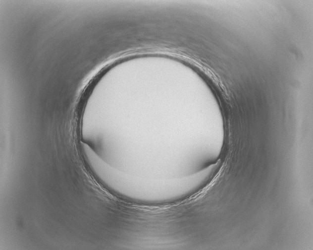 X0000116061502200912181302