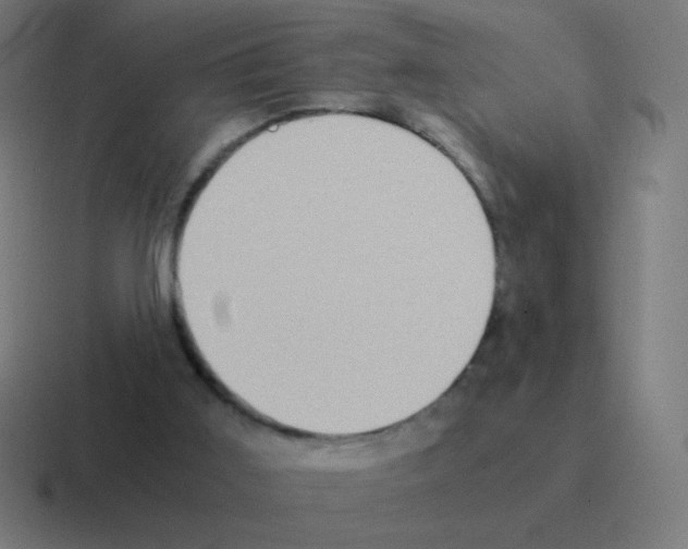 X0000116060011200912312320