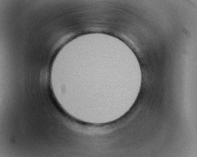 X0000116060016200912312320
