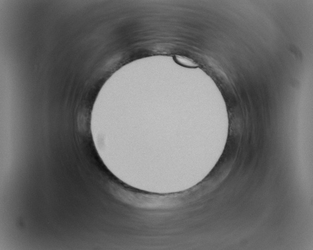 X0000116060044200912312320
