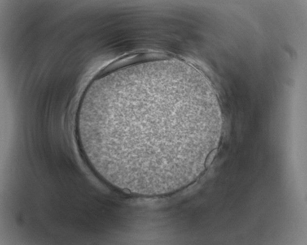 X0000116060049200912312319
