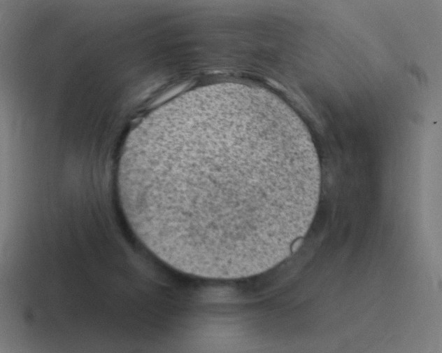 X0000116060066200912312319