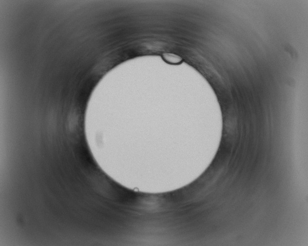 X0000116060079200912312320