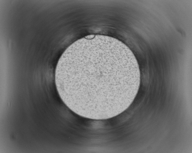 X0000116060085200912312320