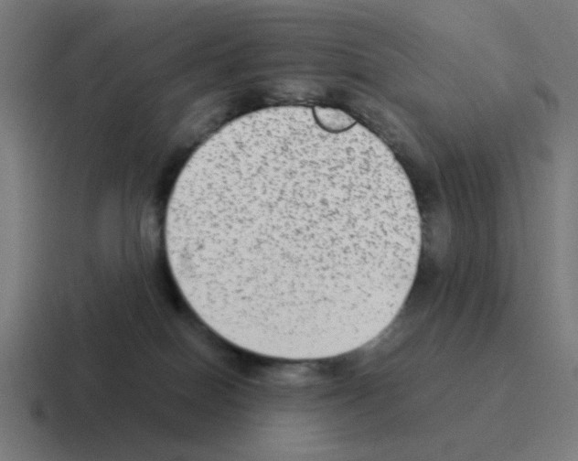 X0000116060086200912312320