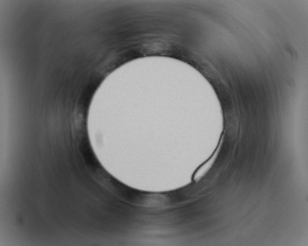 X0000116060087200912312320