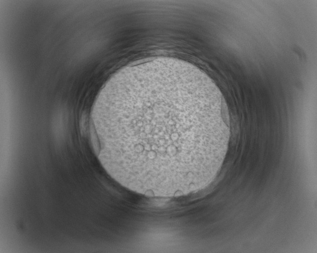 X0000116060090200912312320