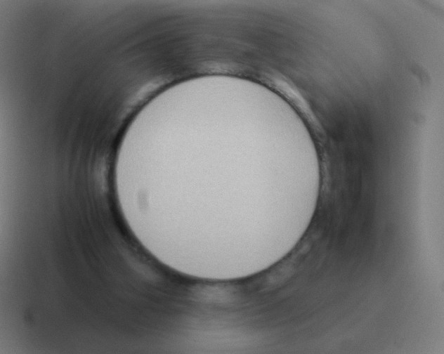 X0000116060106200912312319