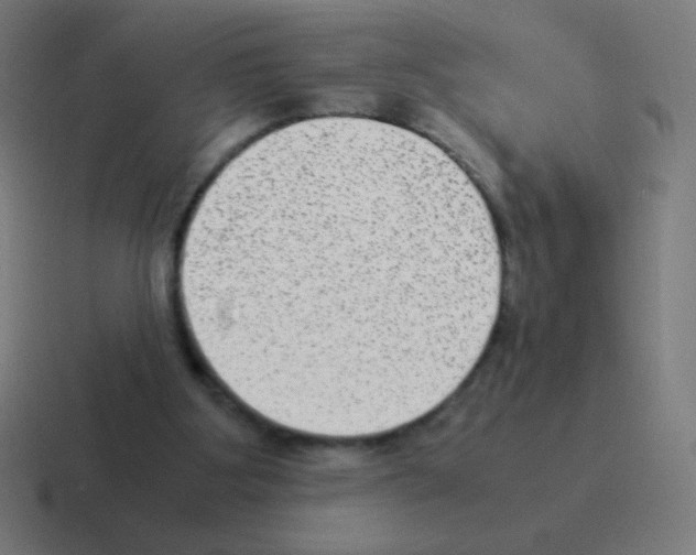 X0000116060107200912312319