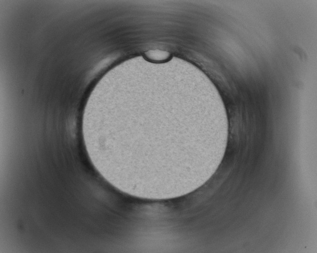 X0000116060112200912312319