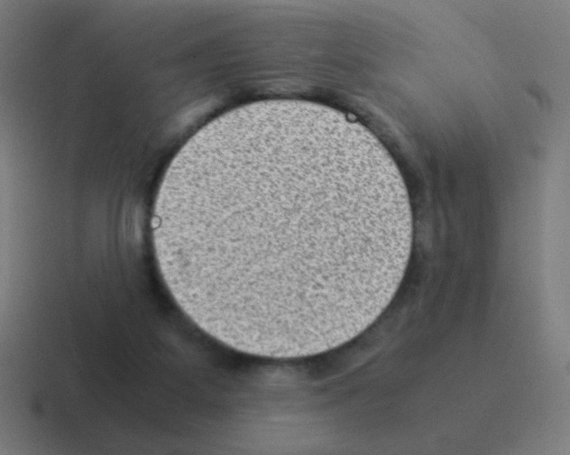 X0000116060115200912312319