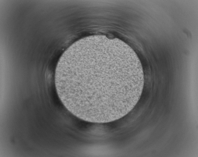 X0000116060123200912312319