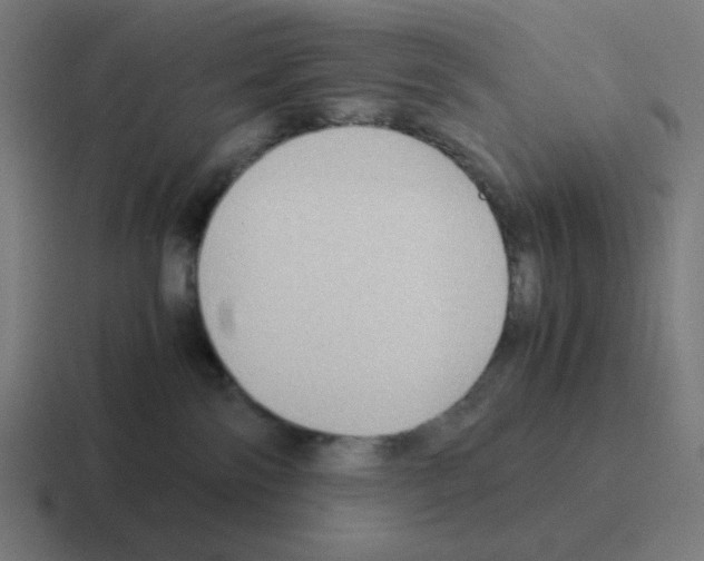 X0000116060138200912312319