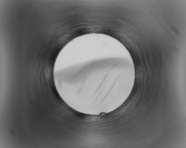 X0000116060139200912312319