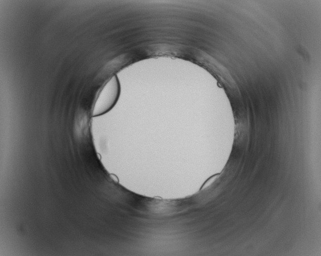 X0000116060142200912312319