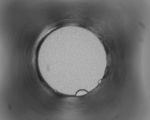 X0000116060150200912312318