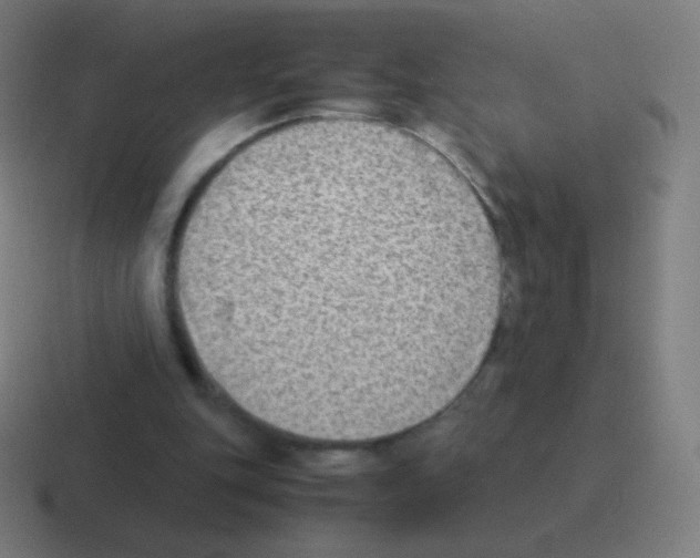 X0000116060151200912312318