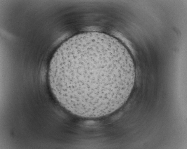 X0000116060153200912312318