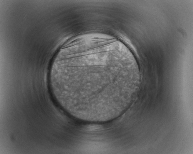 X0000116060154200912312318