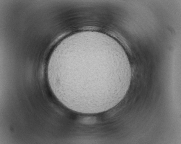 X0000116060155200912312318