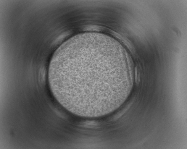 X0000116060157200912312318