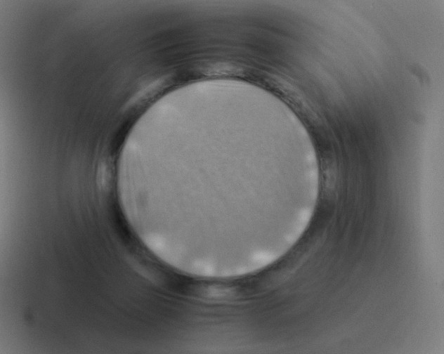 X0000116060165200912312318