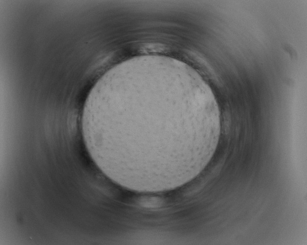 X0000116060169200912312318