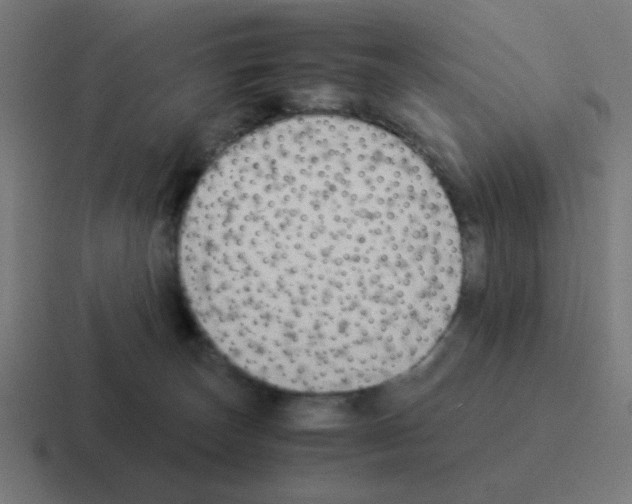 X0000116060179200912312318