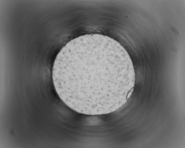 X0000116060183200912312319