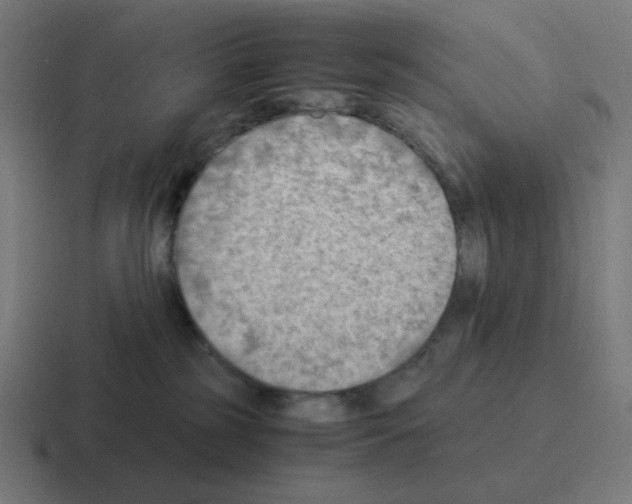 X0000116060185200912312319