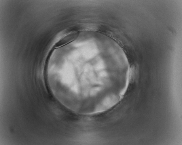 X0000116060195200912312318