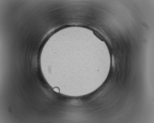 X0000116060204200912312318