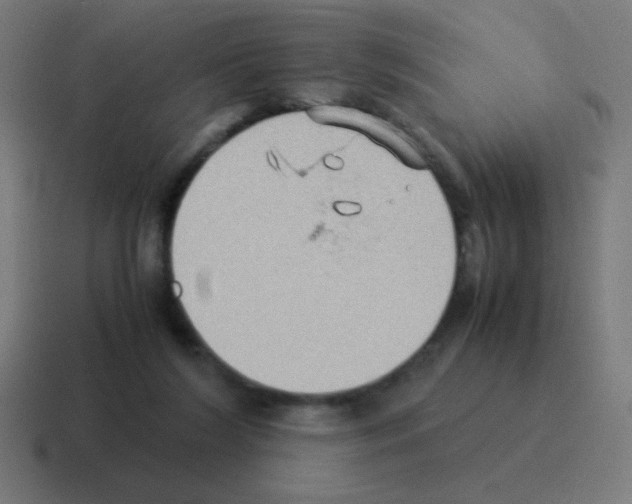X0000116060212200912312318