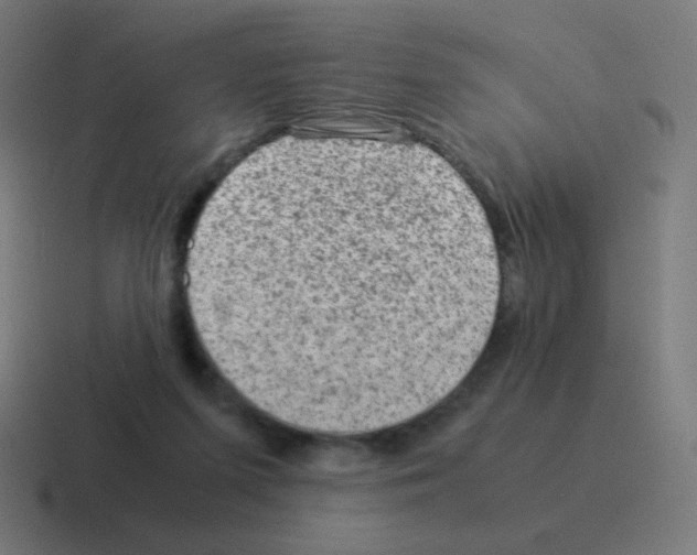 X0000116060215200912312318