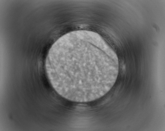 X0000116060222200912312318