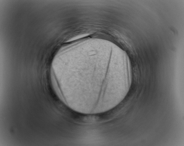X0000116060225200912312318