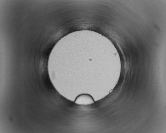 X0000116060236200912312318