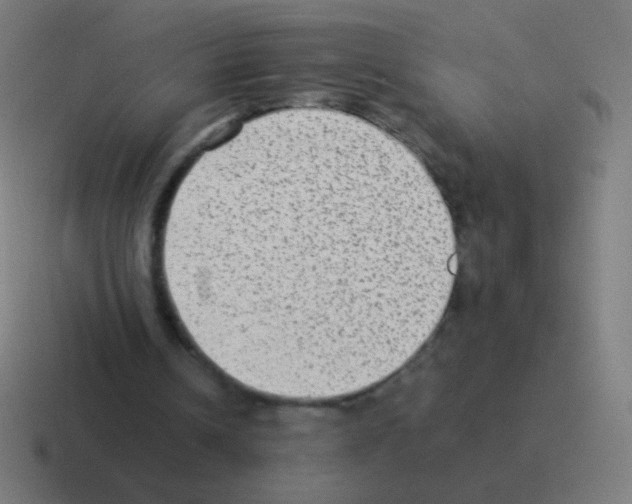 X0000116060242200912312317