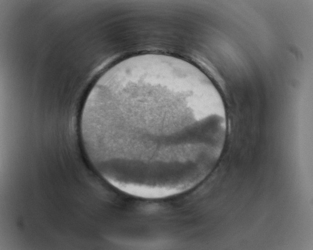 X0000116060249200912312317