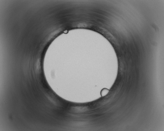 X0000116060251200912312317