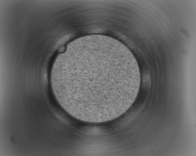 X0000116060254200912312317