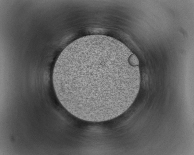X0000116060259200912312317