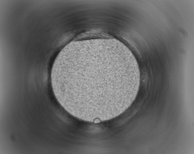 X0000116060261200912312317