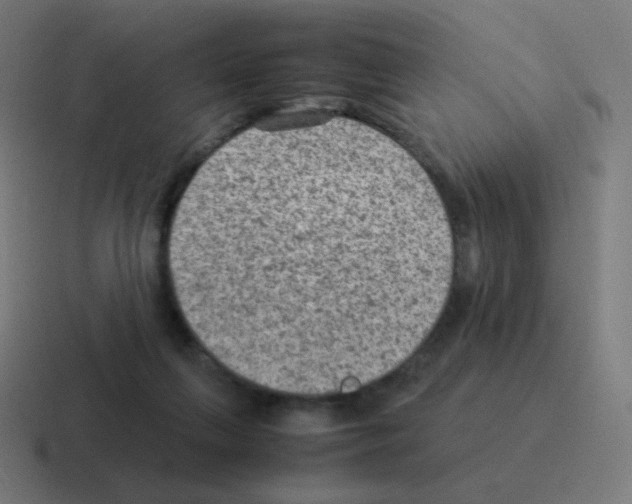 X0000116060263200912312317