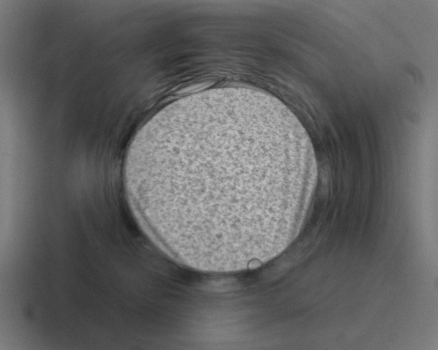 X0000116060278200912312317
