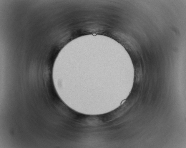 X0000116060279200912312317