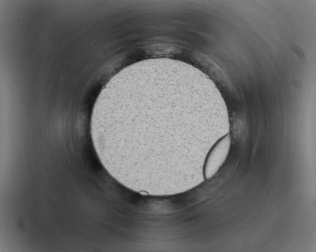X0000116060283200912312317